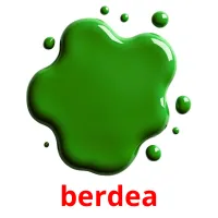 berdea picture flashcards