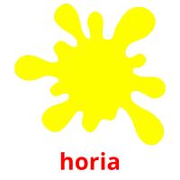horia picture flashcards