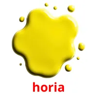 horia picture flashcards