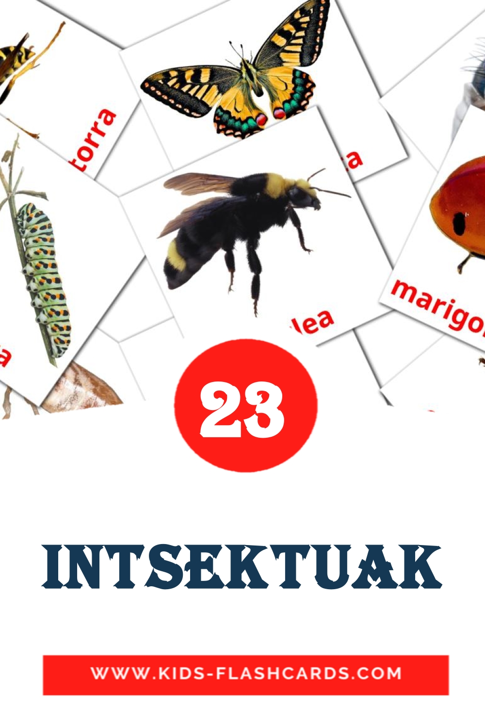 23 tarjetas didacticas de Intsektuak para el jardín de infancia en euskera