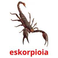 eskorpioia flashcards illustrate