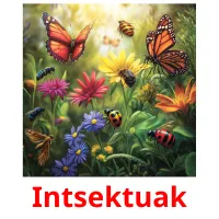 Intsektuak flashcards illustrate