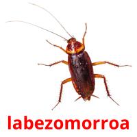 labezomorroa flashcards illustrate