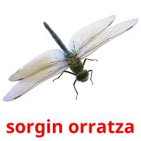 sorgin orratza picture flashcards