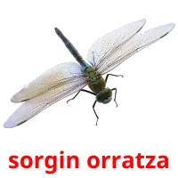 sorgin orratza flashcards illustrate