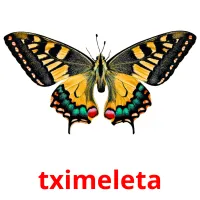 tximeleta flashcards illustrate