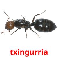 txingurria flashcards illustrate