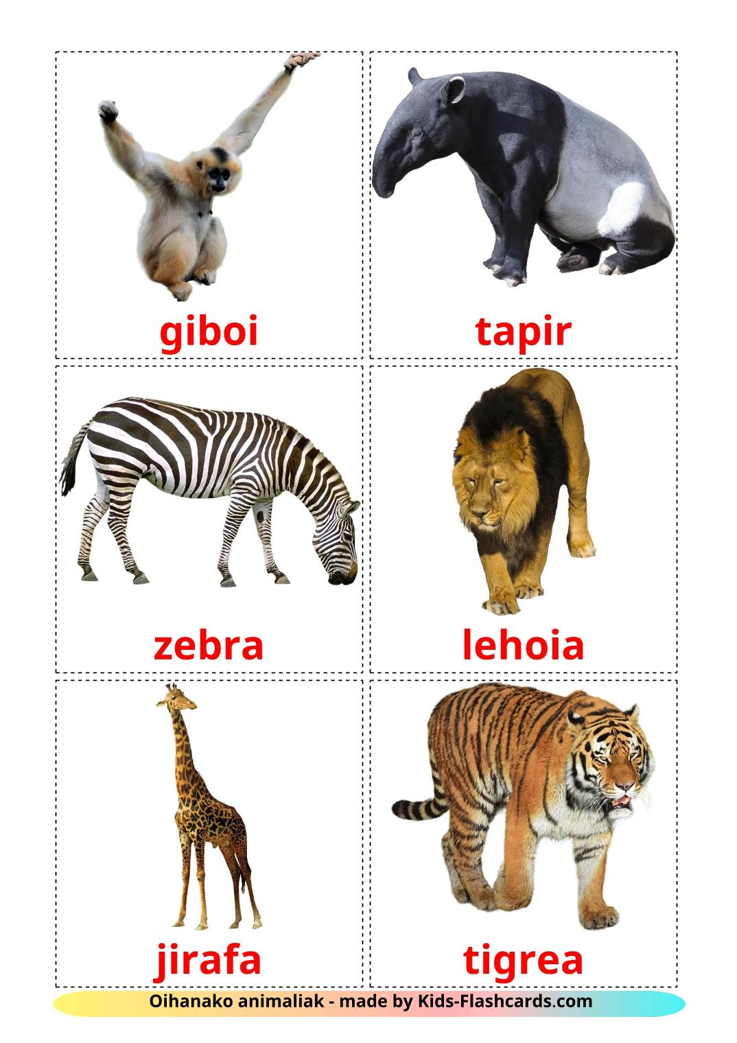 Jungle animals - 22 Free Printable basque Flashcards 