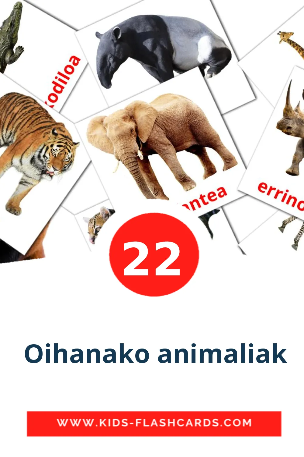 22  Oihanako animaliak Picture Cards for Kindergarden in basque