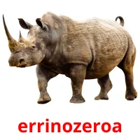 errinozeroa picture flashcards