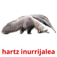hartz inurrijalea flashcards illustrate