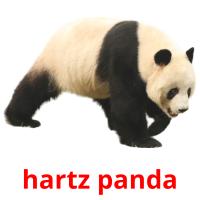 hartz panda Tarjetas didacticas