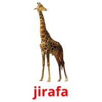 jirafa flashcards illustrate