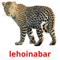 lehoinabar picture flashcards