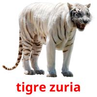 tigre zuria Tarjetas didacticas