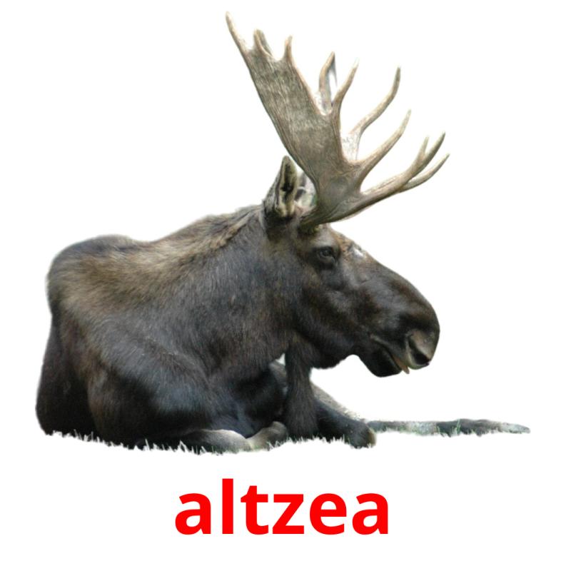 altzea picture flashcards