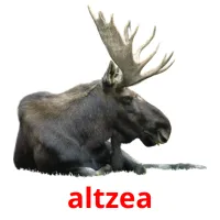 altzea Bildkarteikarten