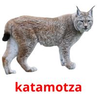katamotza picture flashcards