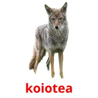 koiotea Bildkarteikarten