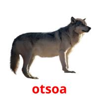otsoa card for translate