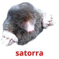 satorra card for translate