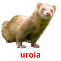 uroia picture flashcards