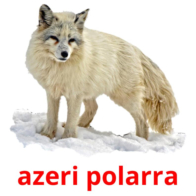 azeri polarra Tarjetas didacticas