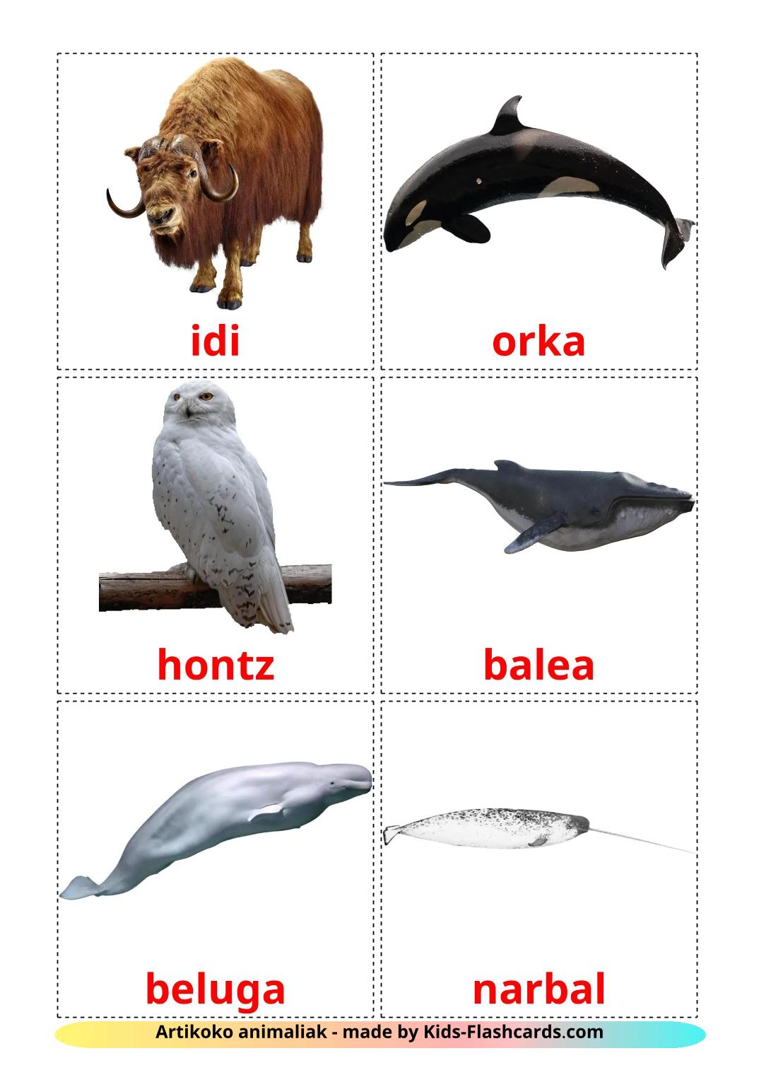 Arctic animals - 15 Free Printable basque Flashcards 