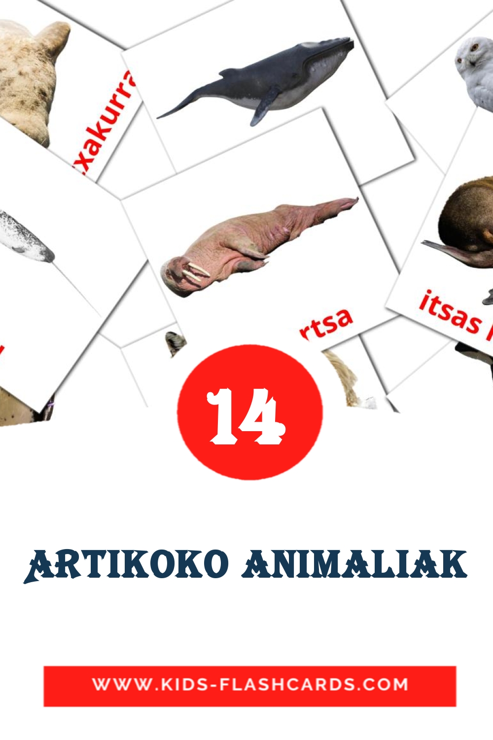 14 tarjetas didacticas de Artikoko animaliak para el jardín de infancia en euskera