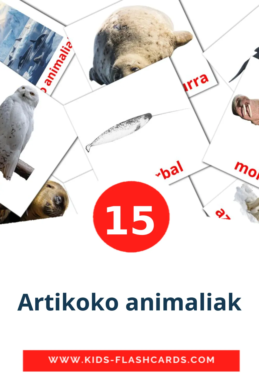 15 Artikoko animaliak Picture Cards for Kindergarden in basque