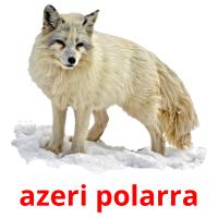 azeri polarra ansichtkaarten