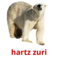 hartz zuri picture flashcards