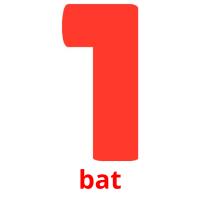 bat flashcards illustrate