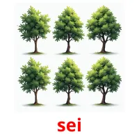 sei cartões com imagens