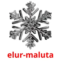 elur-maluta cartões com imagens