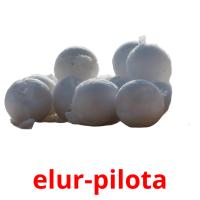elur-pilota picture flashcards