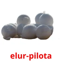 elur-pilota cartões com imagens