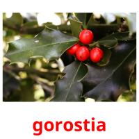 gorostia picture flashcards