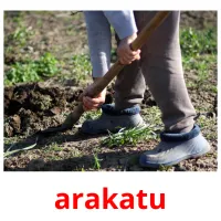 arakatu Bildkarteikarten