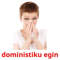 doministiku egin Bildkarteikarten