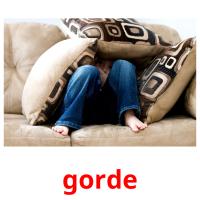 gorde picture flashcards