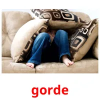 gorde Bildkarteikarten