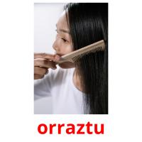 orraztu flashcards illustrate