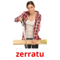 zerratu Bildkarteikarten