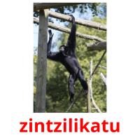zintzilikatu flashcards illustrate