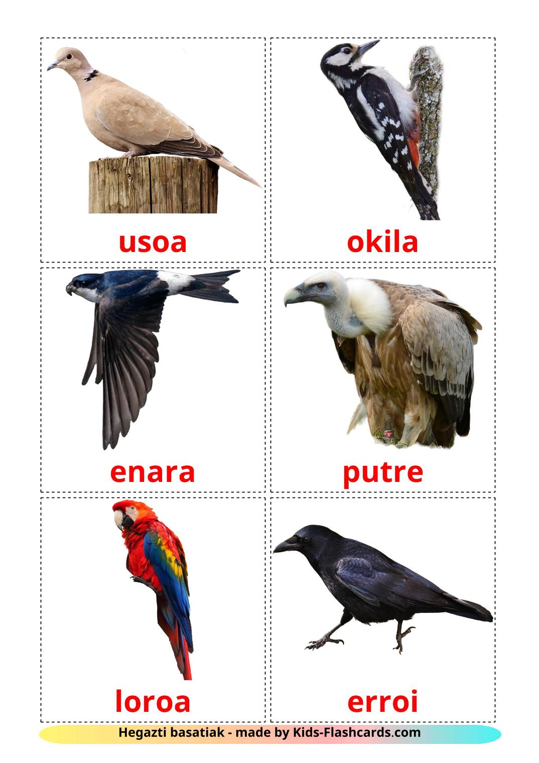 Les Oiseaux Sauvages - 18 Flashcards basque imprimables gratuitement