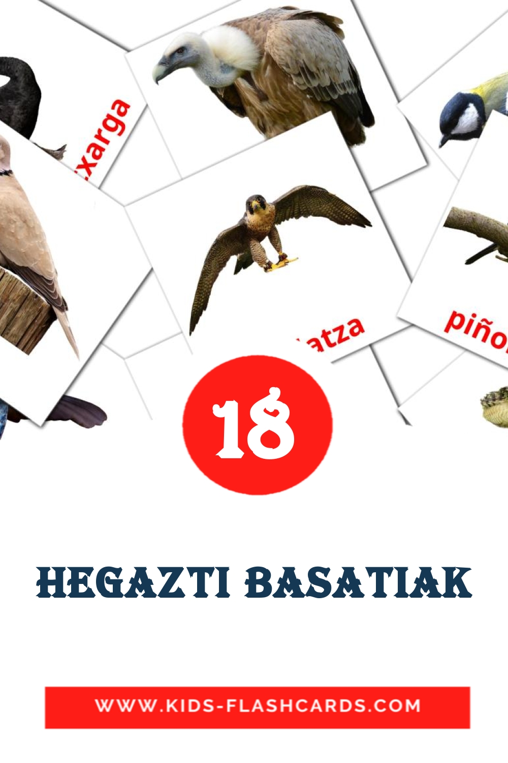 18 Cartões com Imagens de Hegazti basatiak para Jardim de Infância em basco