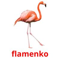 flamenko cartões com imagens