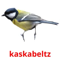 kaskabeltz Bildkarteikarten