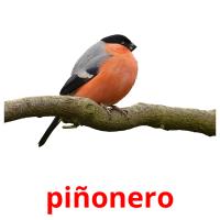 piñonero Bildkarteikarten